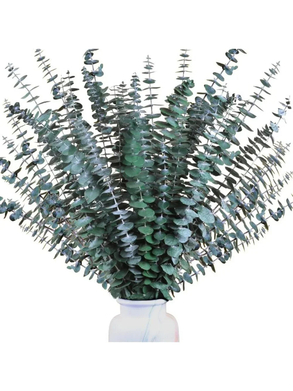Dried Eucalyptus Stems Bundle - 30 Real 17'' Branches for Shower, Vase & Home